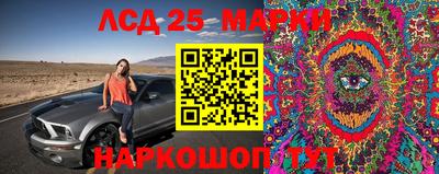 соль ск Дмитров