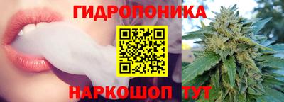 соль ск Дмитров