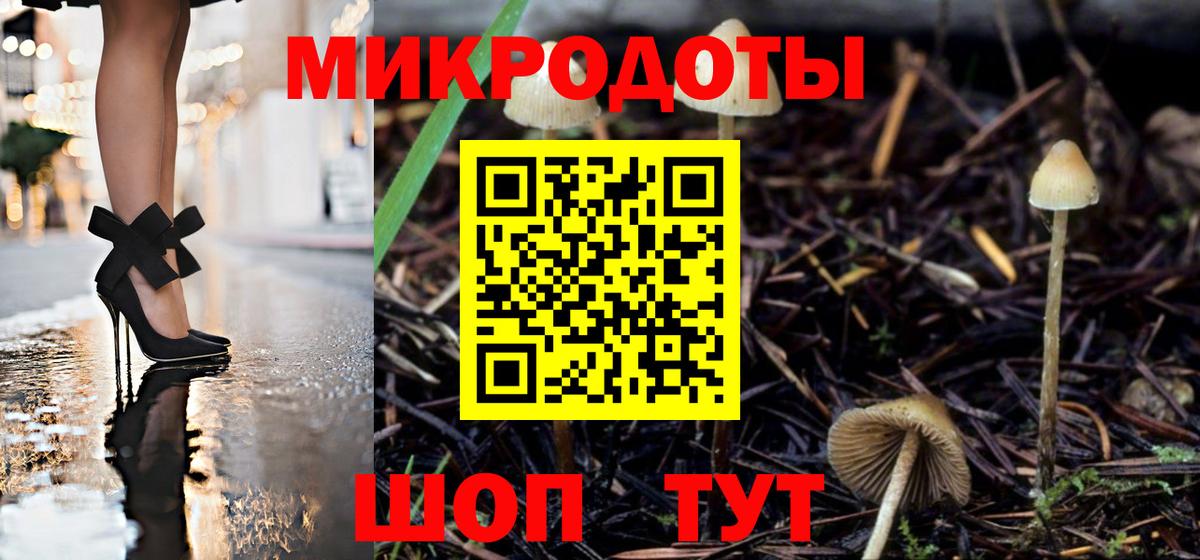 Будённовск  Псилоцибиновые грибы прущие грибы  Вход с VPN  купить наркоту  Псилоцибиновые грибы MAGIC MUSHROOMS 