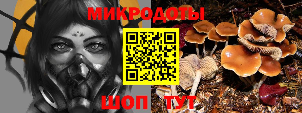 Галлюциногенные грибы MAGIC MUSHROOMS Будённовск